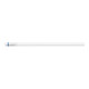 Philips Lighting Tube fluorescente LED 600 mm HO 865 T8 MLEDtube#69751100