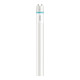 Philips Lighting Tube LED 600 mm HO 8W 865 T8 MLEDtubeVLE#64683700