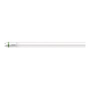 Philips Lighting Tube LED G13 1200 mm 840 MAS LEDtube#33972900-2