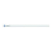 Philips Lighting Tube LED T8 KVG/VVG 865 1500mm MASLEDtube#31666900-1