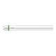Philips Tube LED T8 G13 840 1200 mm MAS LEDtube#31671300
