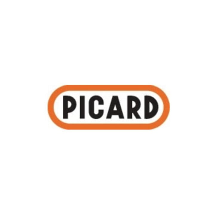 Picard Dengelamboss spitz 500g