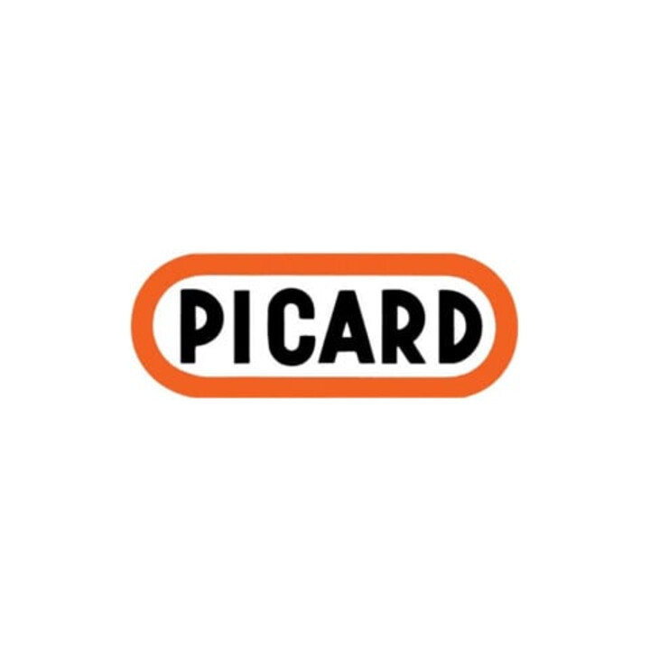 PICARD Marteau de charpentier tout acier avec porte-clou magnétique, Poids sans manche: 700 g