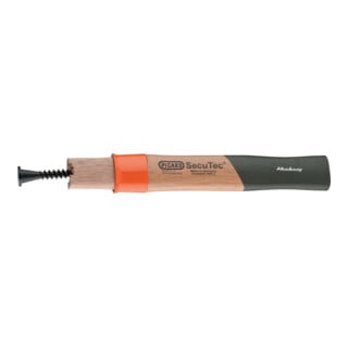 Picard Stielset HS 300 mm pour SecuTec Nr. 43