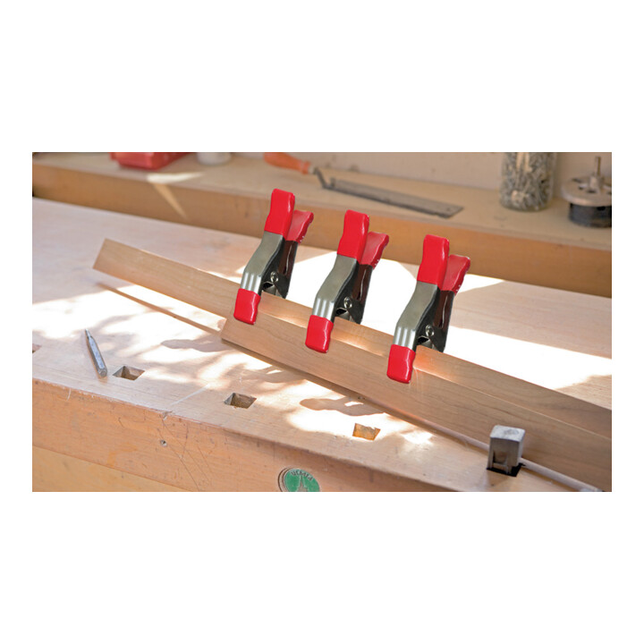 Pince à ressort XM Bessey