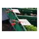Pince à ressort XM Bessey