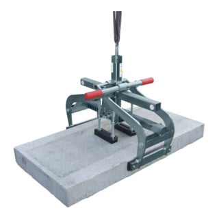 Pince de manutention Probst EXG-Maxi zone d'atteinte 0-400 mm