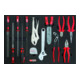 Pince et jeu de limes KS Tools, 13 pièces dans un insert système 1/1-1