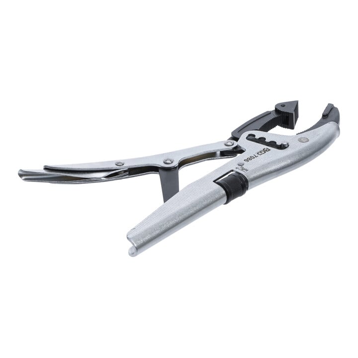 Pince-étau BGS réglage rapide quadruple, Pointes de mâchoires pivotantes, type français, 250 mm