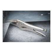 Pinces étau longs becs 225 mm BGS-4