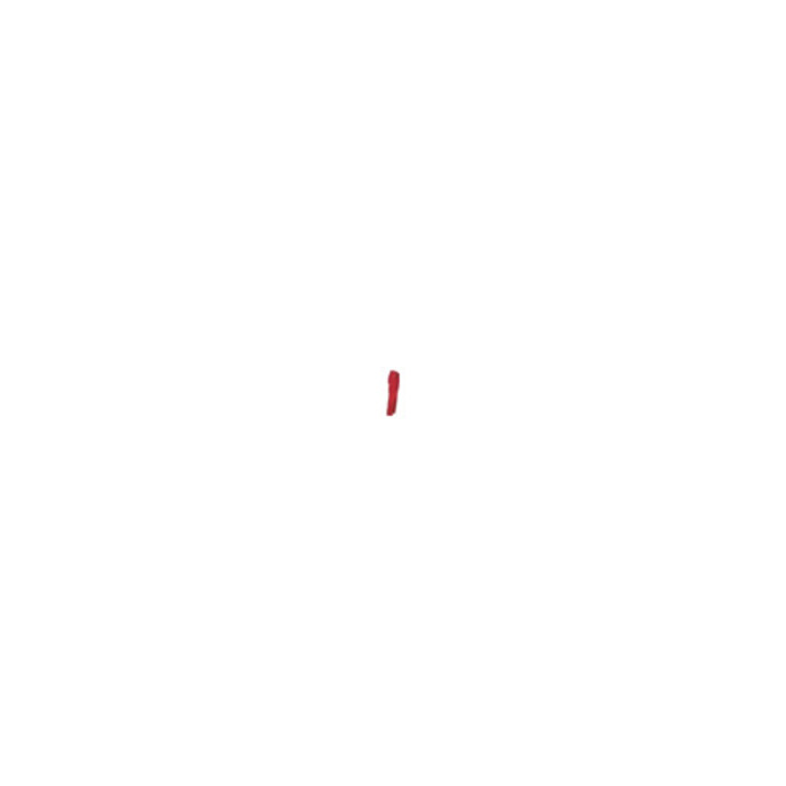 Planam Bundhose Canvas 320 rot