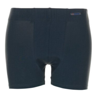 Planam Funktionsunterwäsche 190 Shorts grau