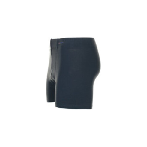 Planam Funktionsunterwäsche 190 Shorts grau