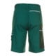 Planam Shorts Canvas 320 grün