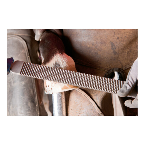 Planche à sabots PFERD 3515 350 FH (1)