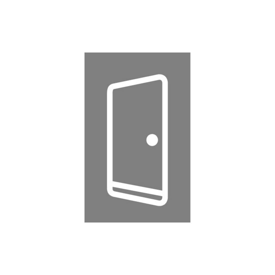 PLANET ASSA ABLOY Joint bas de porte FT, 850 mm Aluminium