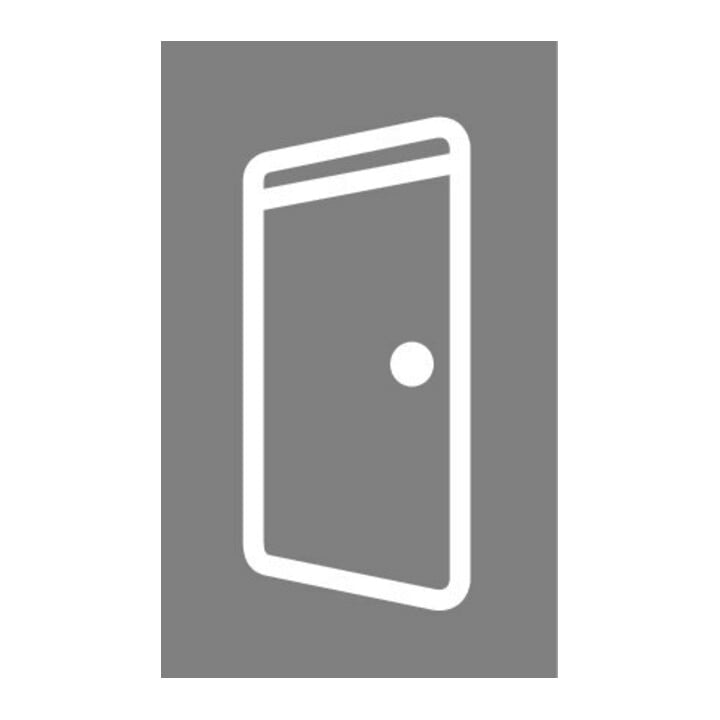 PLANET ASSA ABLOY Joint bas de porte FT, 850 mm Aluminium