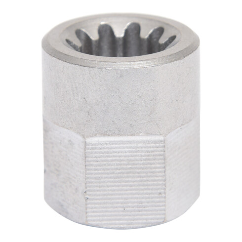 Plaquette spéciale KS Tools à dents multiples M9 avec aimant, pour selles SAF et Knorr