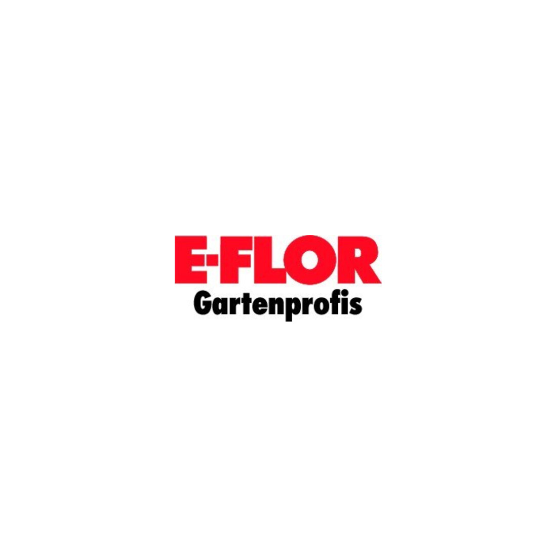 Plattenlift charge max. 50 kg, hauteur réglable 1510-3420 mm