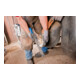 Poignée du rabot pour sabots PFERD FH 6/1
