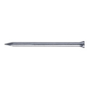 Pointe à plinthe BÄR D. 1,4 x L. 30 mm acier trempé galvanisé-1