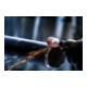 Pointe conique montée Bosch conique moyenne dure 6 mm 60 mm 20 mm 20 mm 25 mm-2