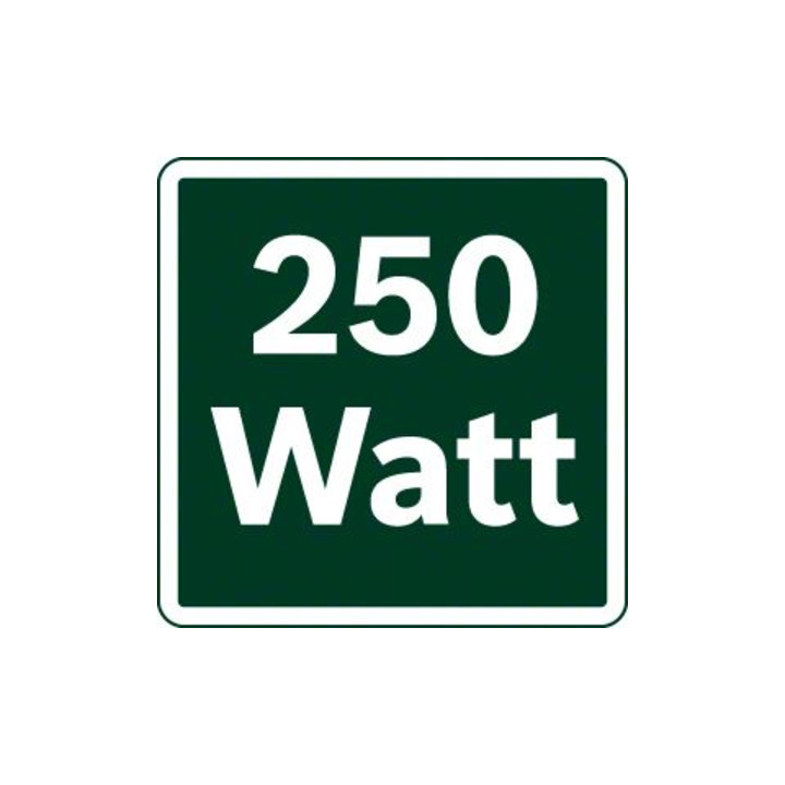 Ponceuse orbitale Bosch PSS 300 AE