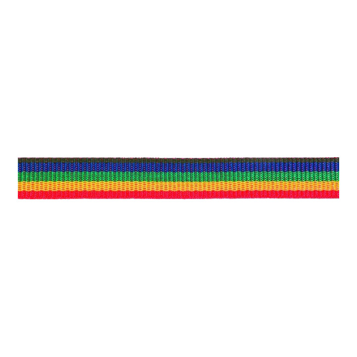 PÖSAMO Sangle multicolore 25,0 mm Ro.100 m (250x110)