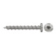 PowerFast FPF II 6,0x50 PH TX VG A2 50