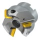 Pramet Planfräser Aufsteck 40A03R-S45SD13F-C