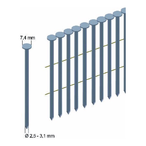 Prebena Clous tête ronde, 3000 pcs RK31/65BK