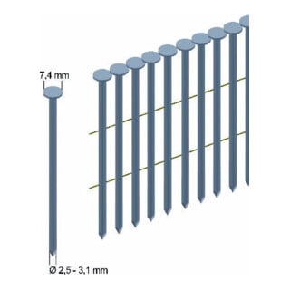 Prebena Rundkopfnägel, 3000 Stk. RK31/65BK