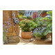 Programmateur d'arrosage Flex GARDENA