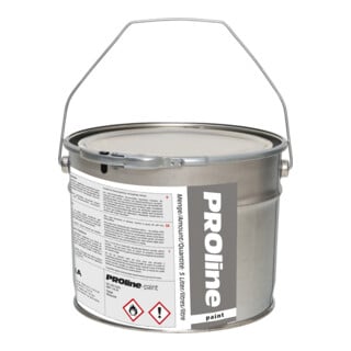 PROline-paint Außenmarkierfarbe 5 l grün RAL 6018 Moravia