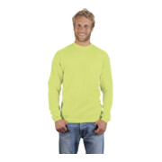 Promodoro Sweatshirt, Gr. 3XL, wild lime-4