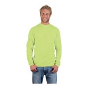 Promodoro Sweatshirt, Gr. 3XL, wild lime-5