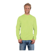 Promodoro Sweatshirt, Gr. M, wild lime-2
