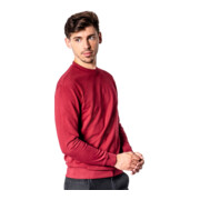 Pull STIER Crew Sweat Style Print organic cotton-4