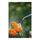 Pulvérisateur à pression 5 L Comfort GARDENA-4
