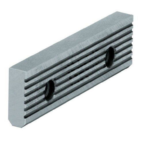 RÖHM Mâchoire de serrage SGN 125 mm