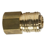 Raccord rapide RIEGLER NW 7.2 connect line MS blank G i