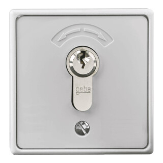 Rademacher Bouton-poussoir de clé encastré avec cylindre 4595