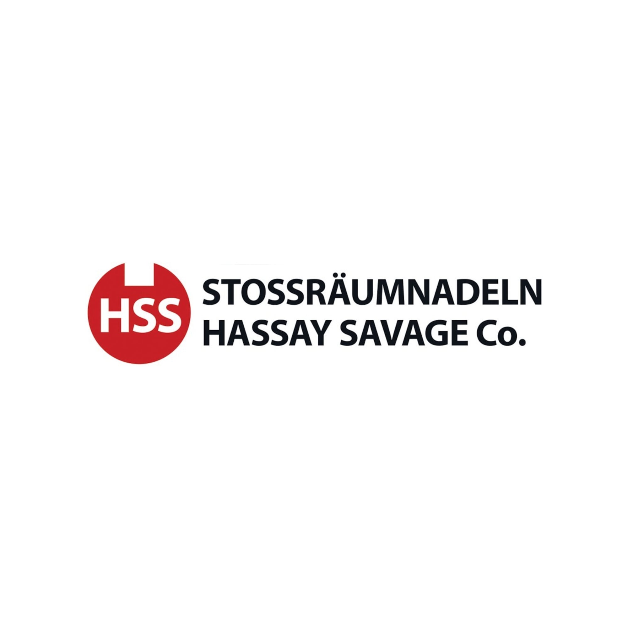 Räumnadel-Einlage Gr 4II Hassay Savage IBT