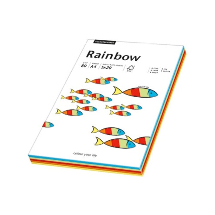 Rainbow Kopierpapier 88043188 A4 80g intensiv sortiert 100 Bl./Pack.