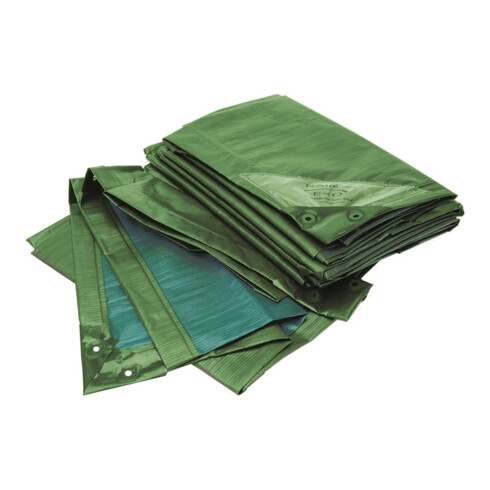 RAINEXO Bâche de protection, 150 g/m², 6x10 m, vert/bleu