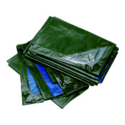 RAINEXO Bâche de protection 150g/m², 1,5x6m, vert/bleu