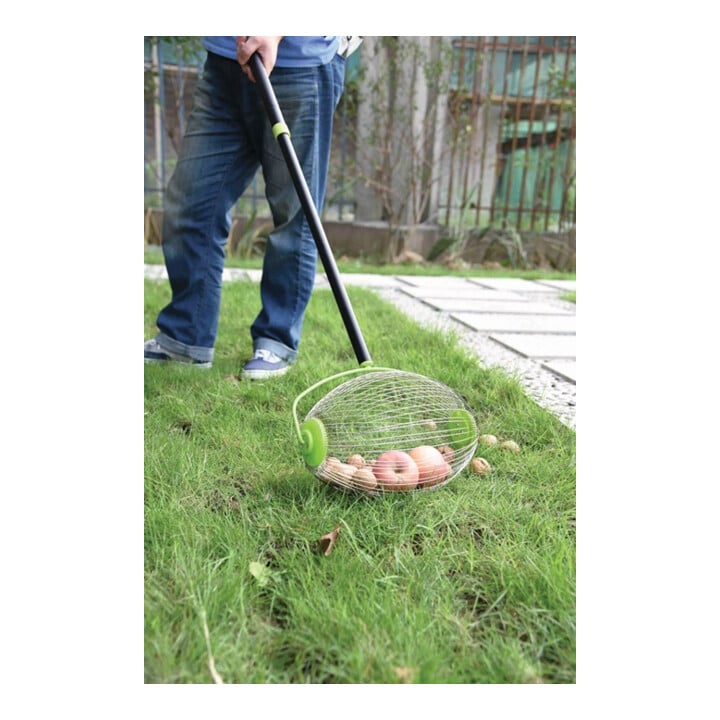 Ramasseur de noisettes et de fruits 68090 B23xLcm avec manche télescopique