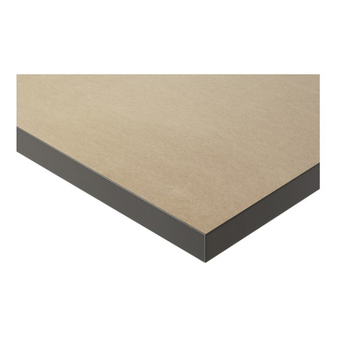 Rau Ablageboden Arbeitstisch Jerry und Tom, B2780(2x1390)xT795xS22 mm (MDF)