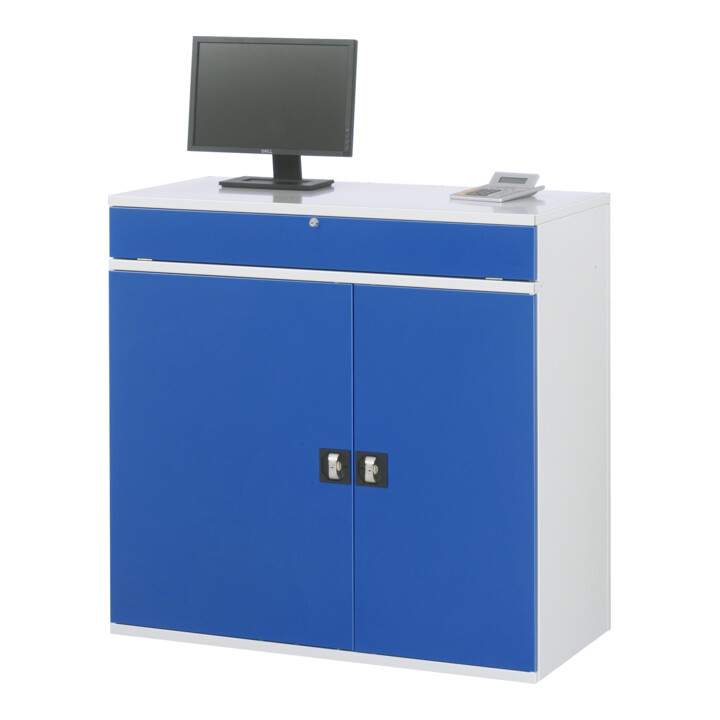 Rau Computer-Schrank - Modell 60 BxTxH 1100x520x1060mm