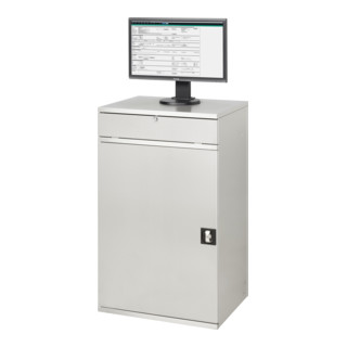 Rau Edelstahl-Computer-Schrank M60 520 mm | Contorion.at